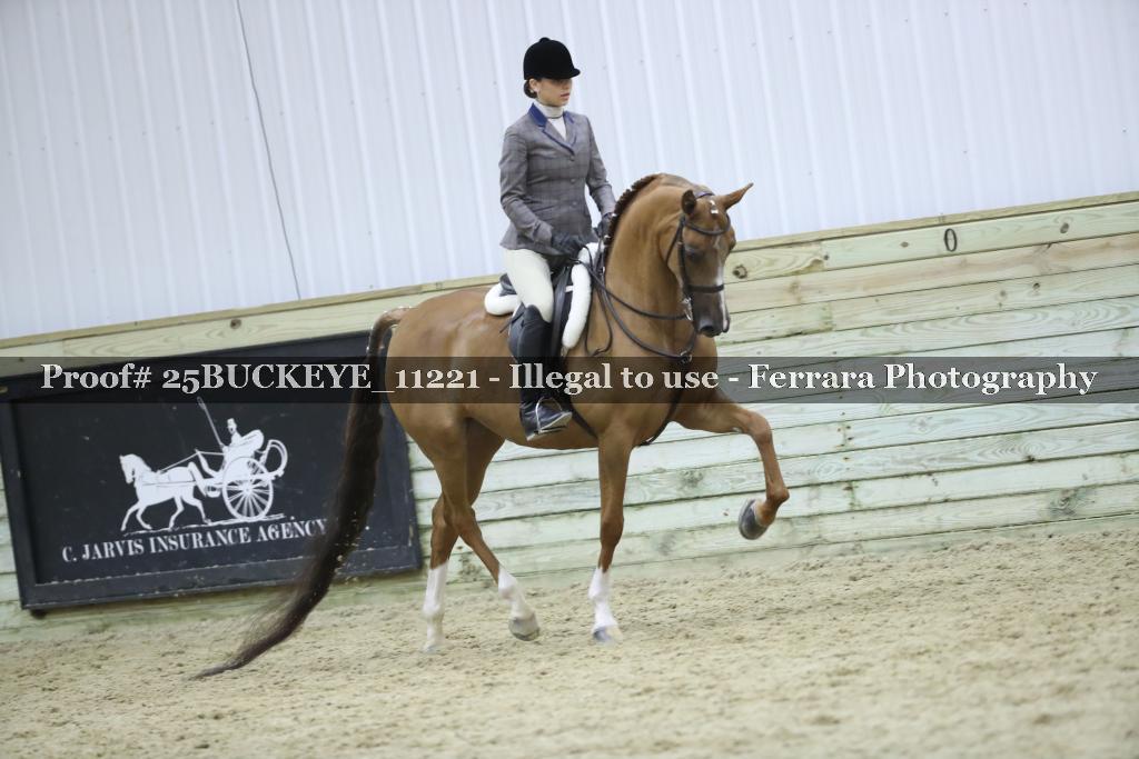 Proof Number 25BUCKEYE_11221