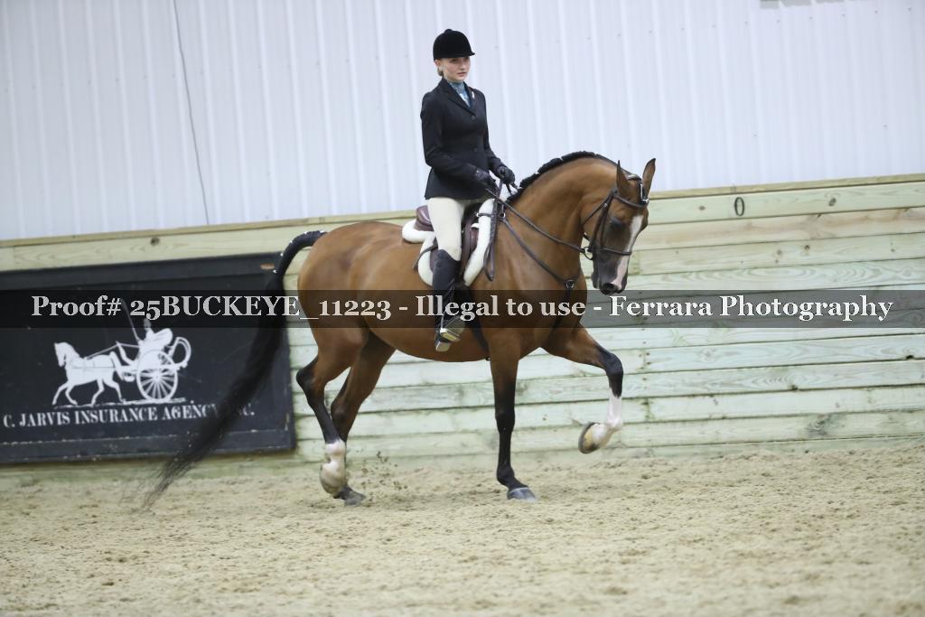Proof Number 25BUCKEYE_11223