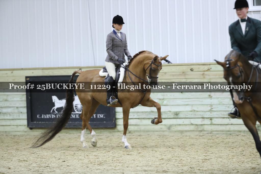 Proof Number 25BUCKEYE_11229