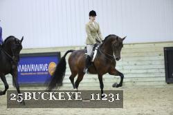 25BUCKEYE_11231 thumbnail