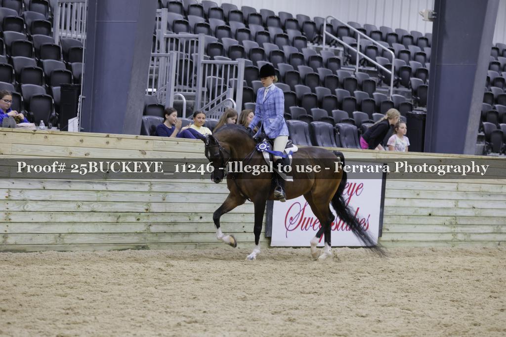 Proof Number 25BUCKEYE_11246