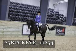 25BUCKEYE_11254 thumbnail