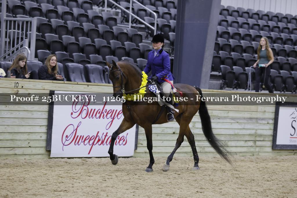 Proof Number 25BUCKEYE_11265