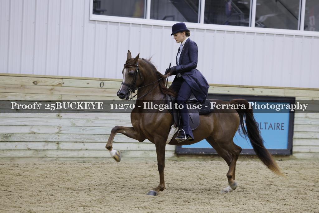 Proof Number 25BUCKEYE_11270
