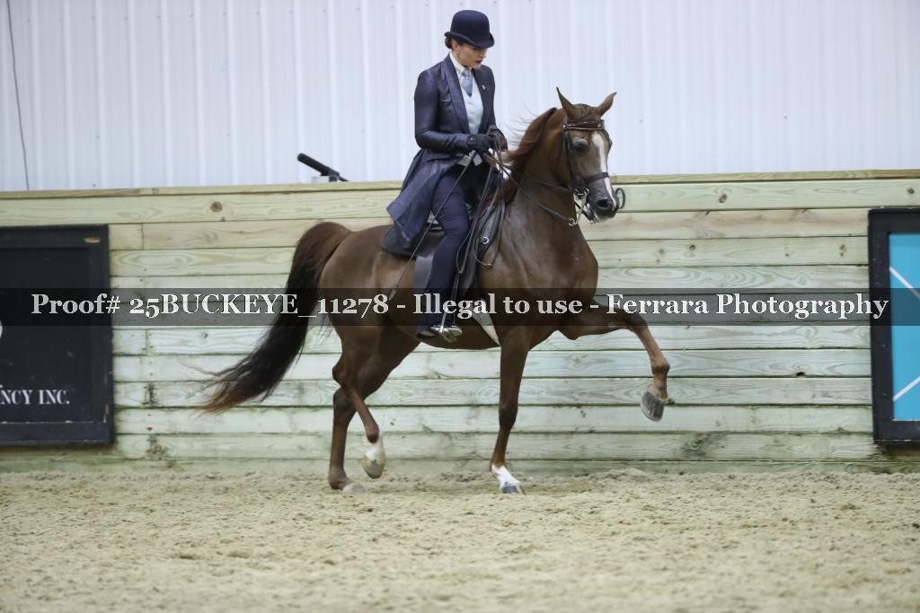 Proof Number 25BUCKEYE_11278