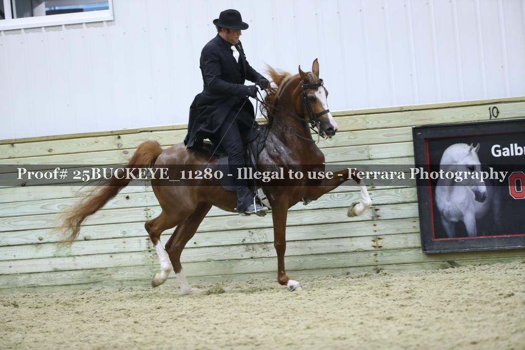 Proof Number 25BUCKEYE_11280