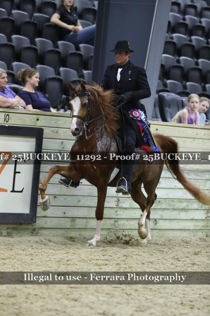 Proof Number 25BUCKEYE_11292