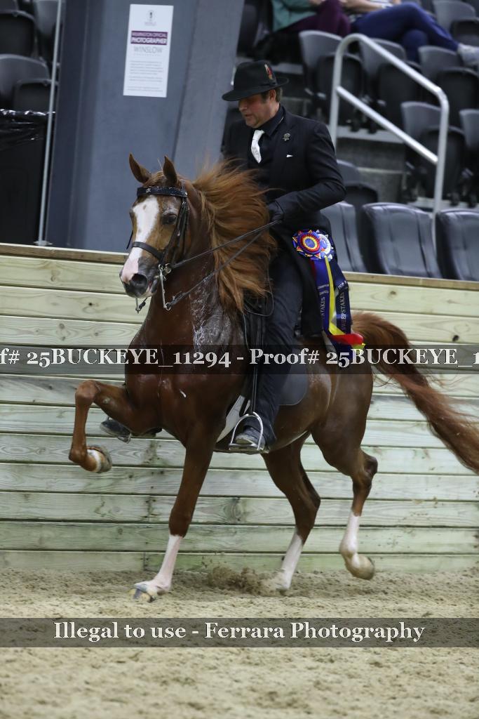 Proof Number 25BUCKEYE_11294