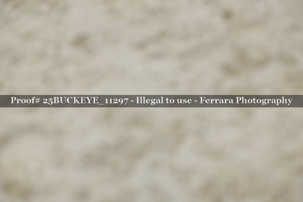 Proof Number 25BUCKEYE_11297