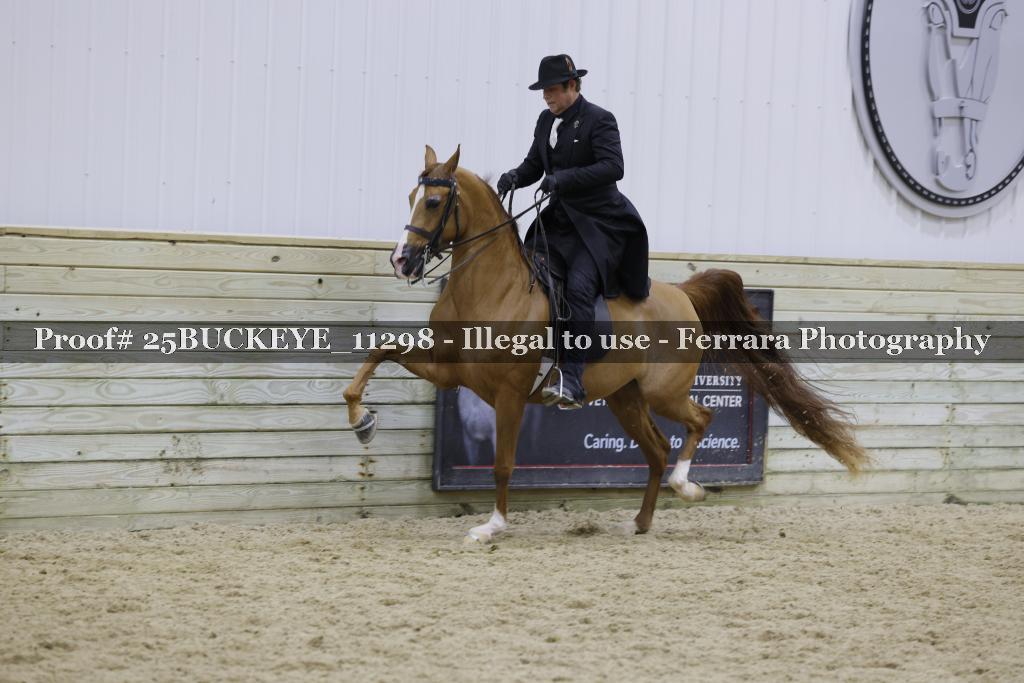 Proof Number 25BUCKEYE_11298