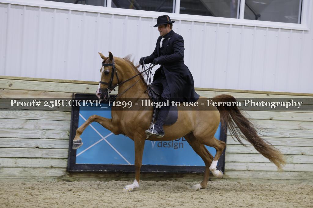Proof Number 25BUCKEYE_11299