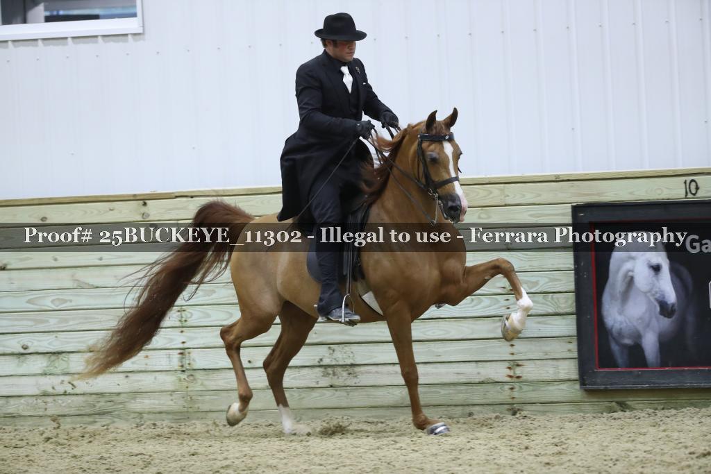Proof Number 25BUCKEYE_11302