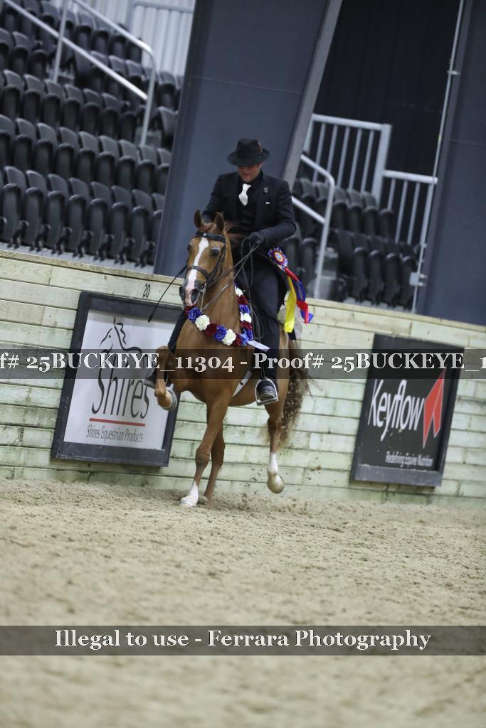 Proof Number 25BUCKEYE_11304