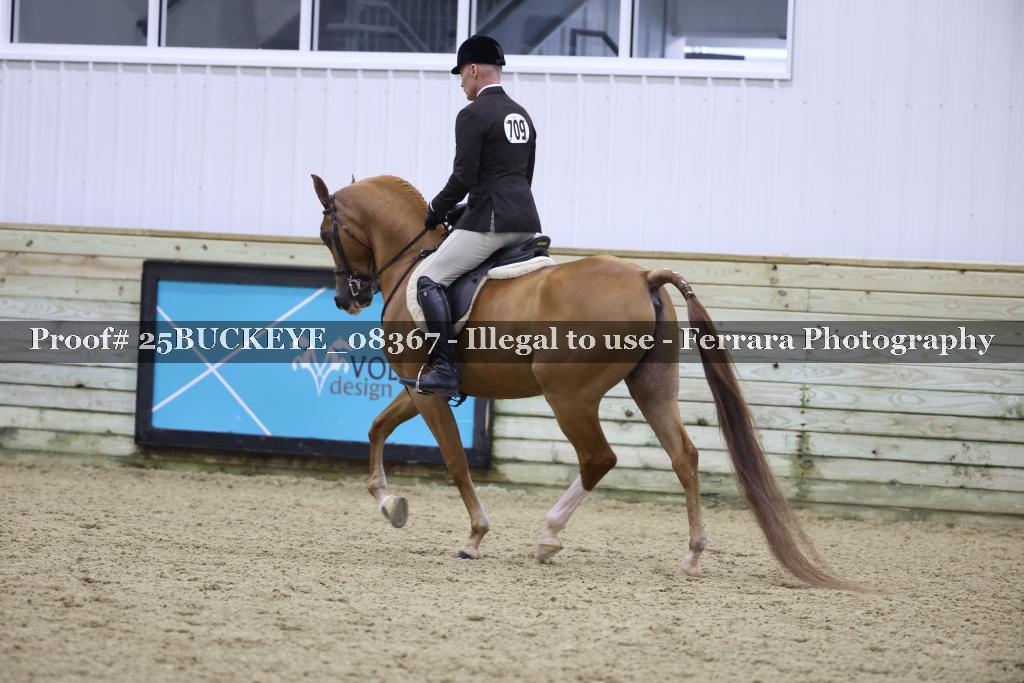 Proof Number 25BUCKEYE_08367