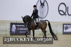 25BUCKEYE_08368 thumbnail
