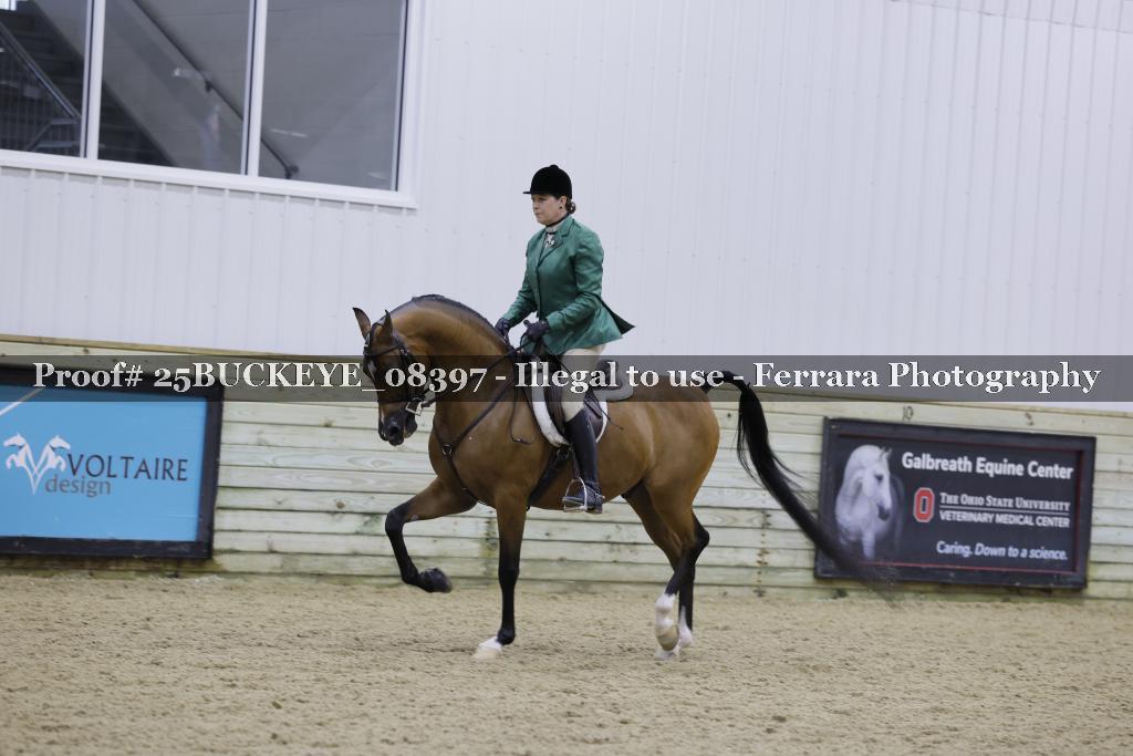 Proof Number 25BUCKEYE_08397