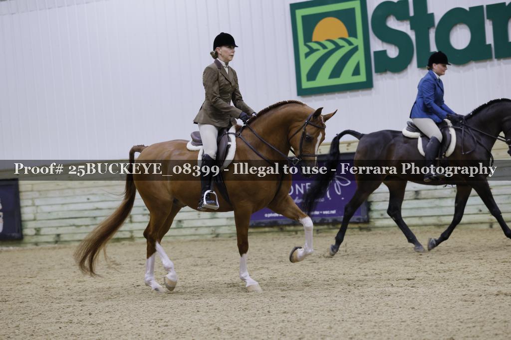 Proof Number 25BUCKEYE_08399