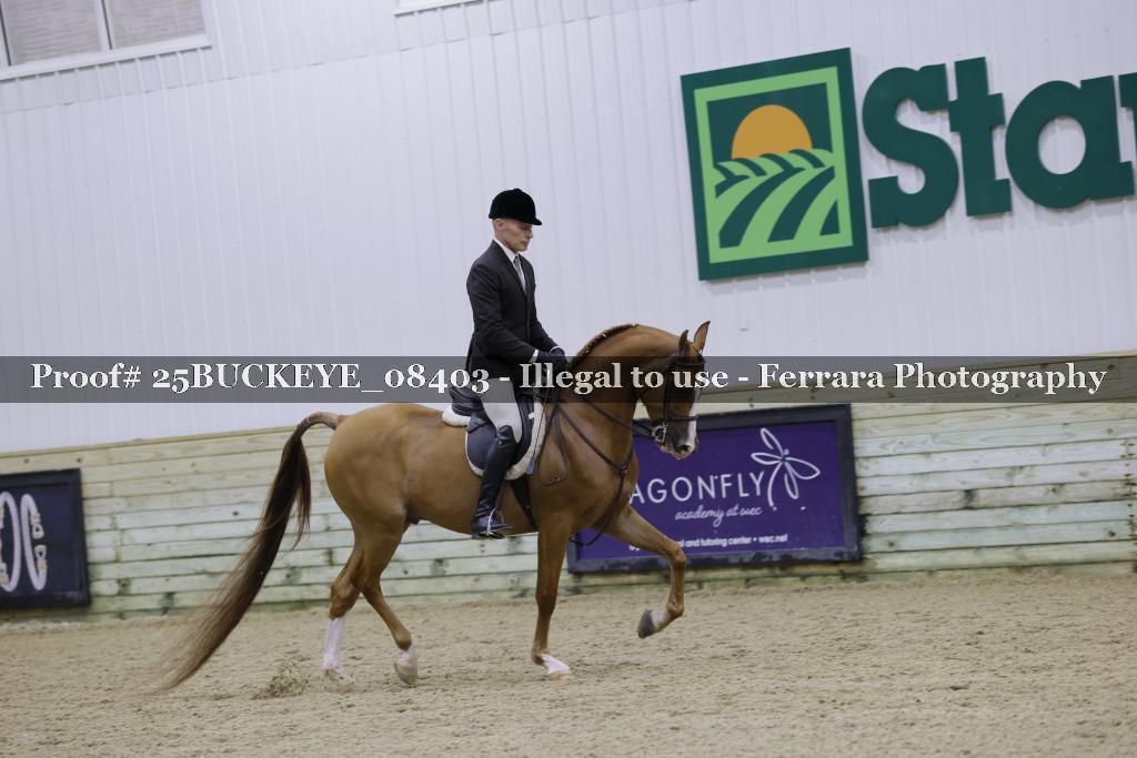 Proof Number 25BUCKEYE_08403