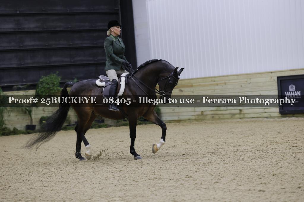 Proof Number 25BUCKEYE_08405