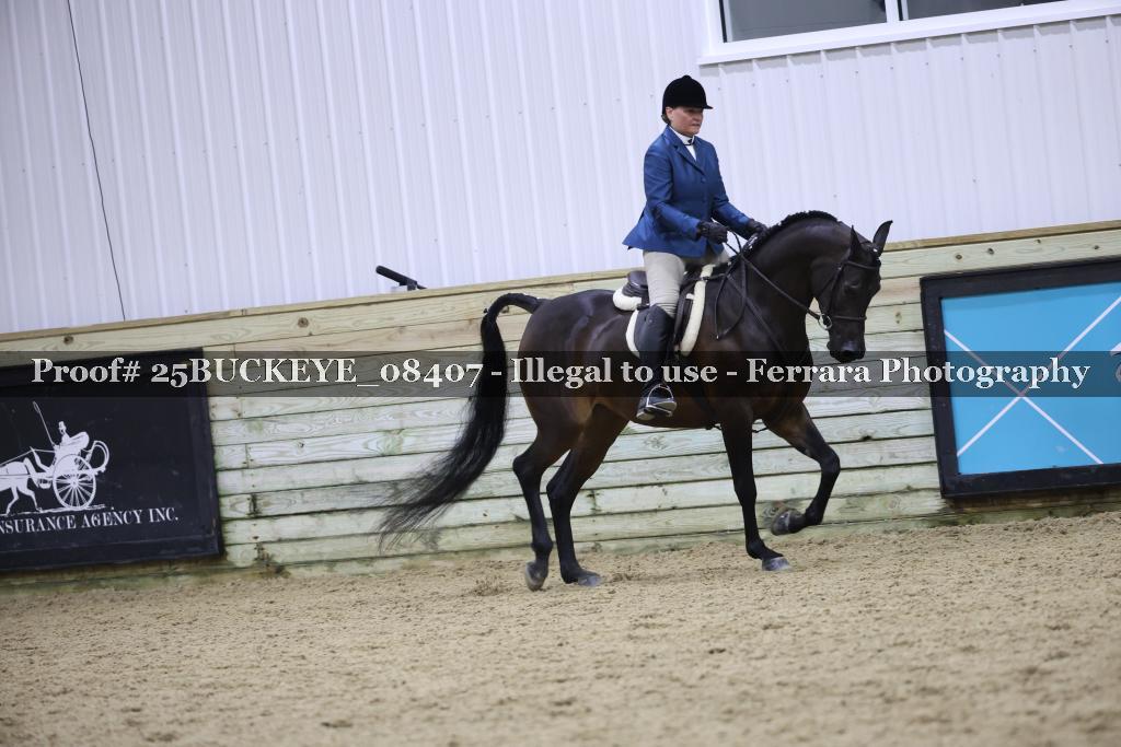 Proof Number 25BUCKEYE_08407