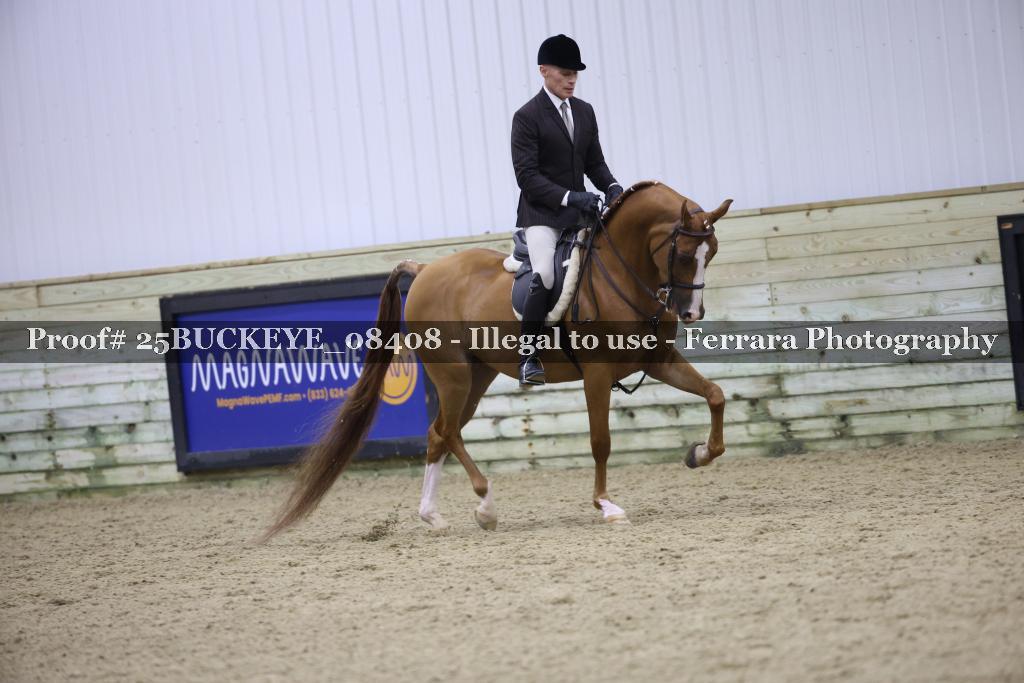 Proof Number 25BUCKEYE_08408
