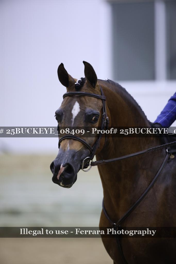 Proof Number 25BUCKEYE_08409