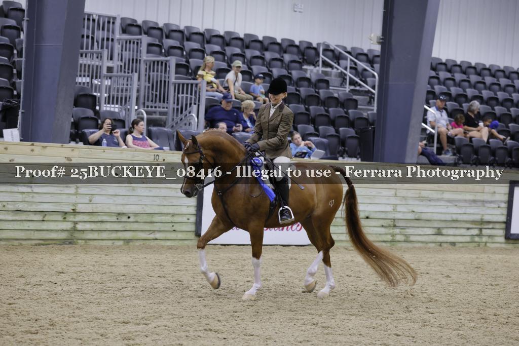 Proof Number 25BUCKEYE_08416