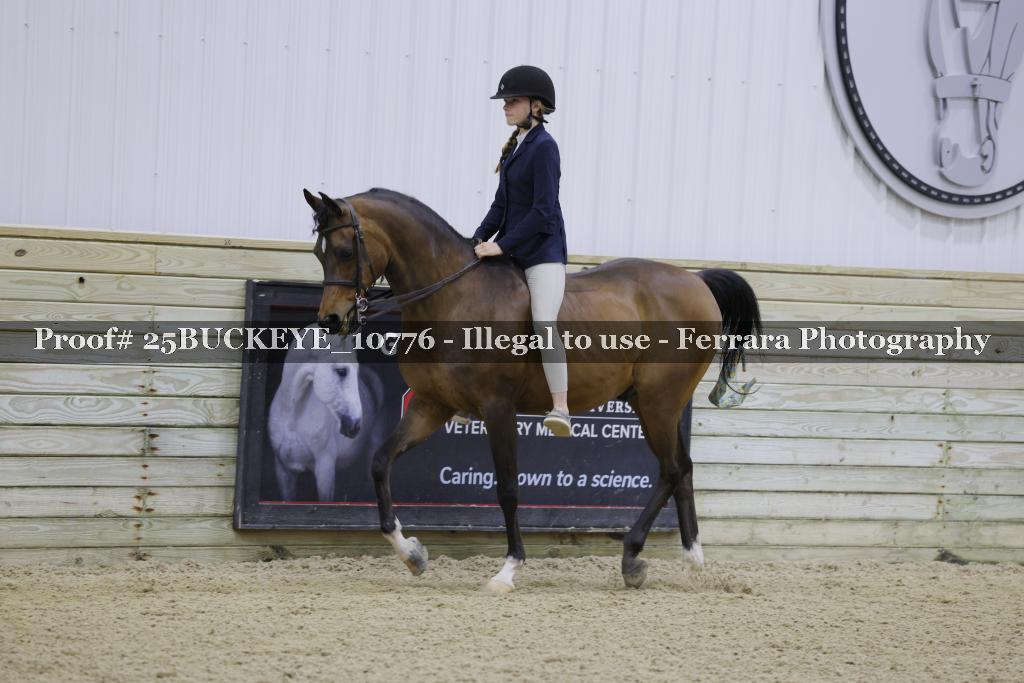 Proof Number 25BUCKEYE_10776