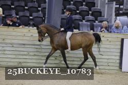 25BUCKEYE_10783 thumbnail