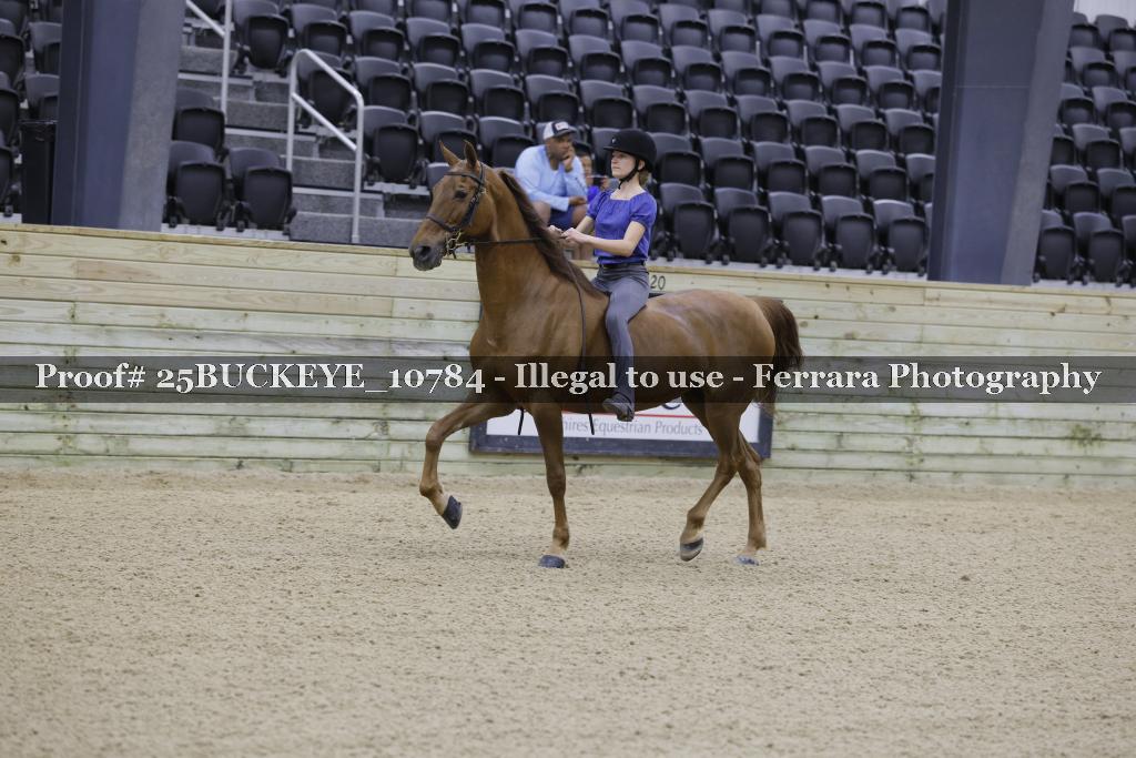 Proof Number 25BUCKEYE_10784