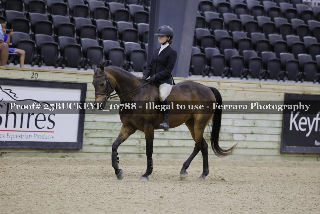 Proof Number 25BUCKEYE_10788