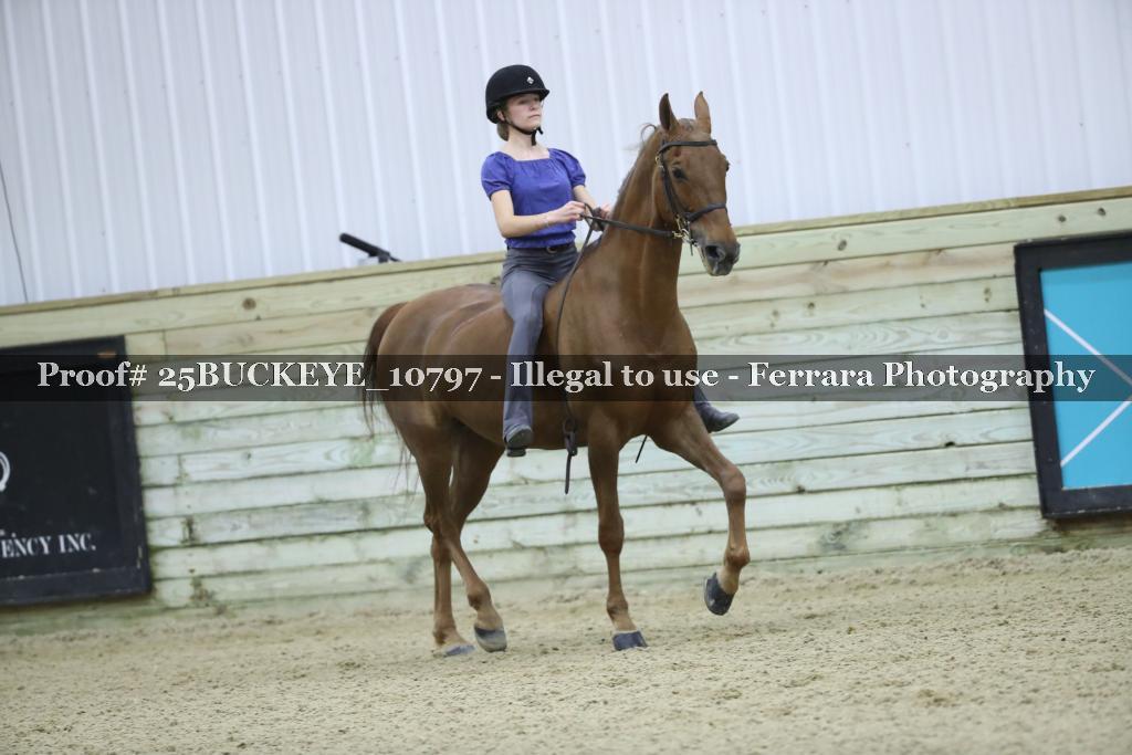 Proof Number 25BUCKEYE_10797