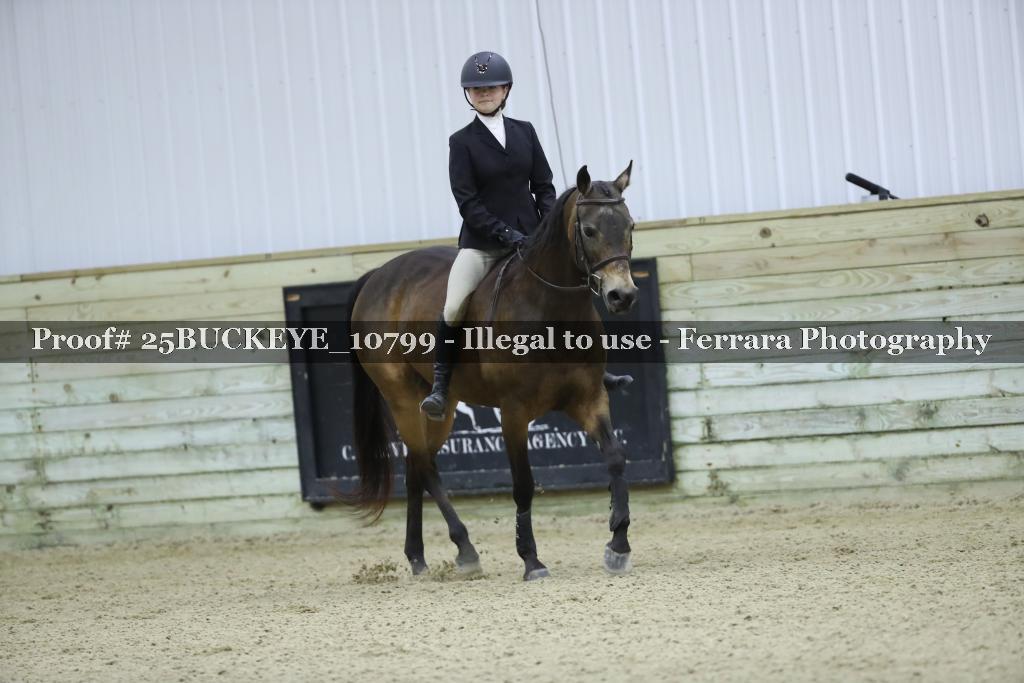 Proof Number 25BUCKEYE_10799