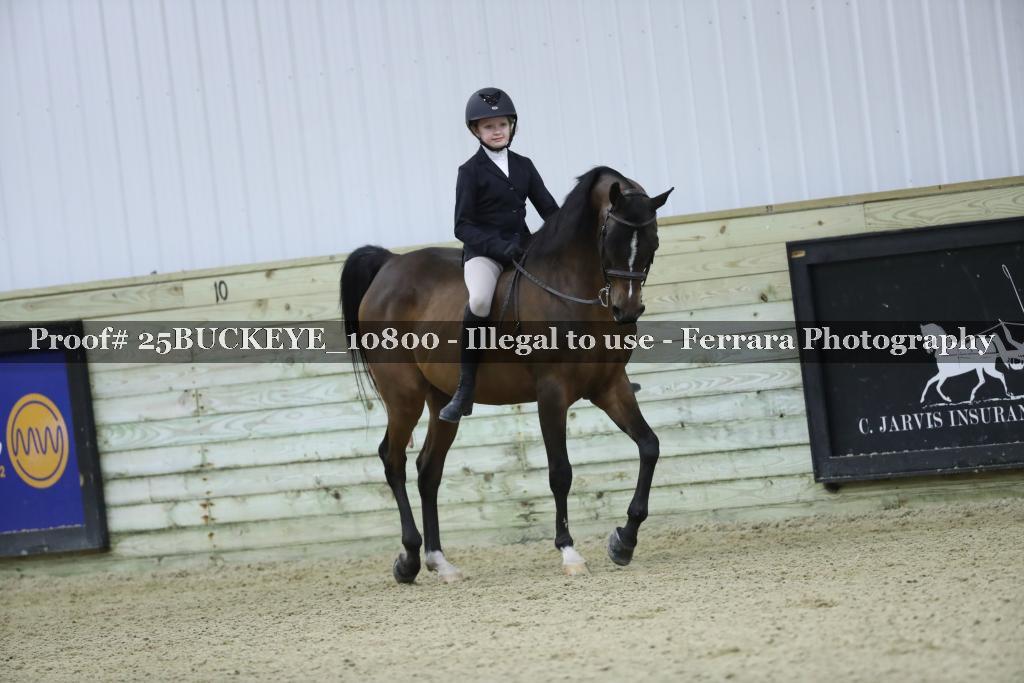 Proof Number 25BUCKEYE_10800