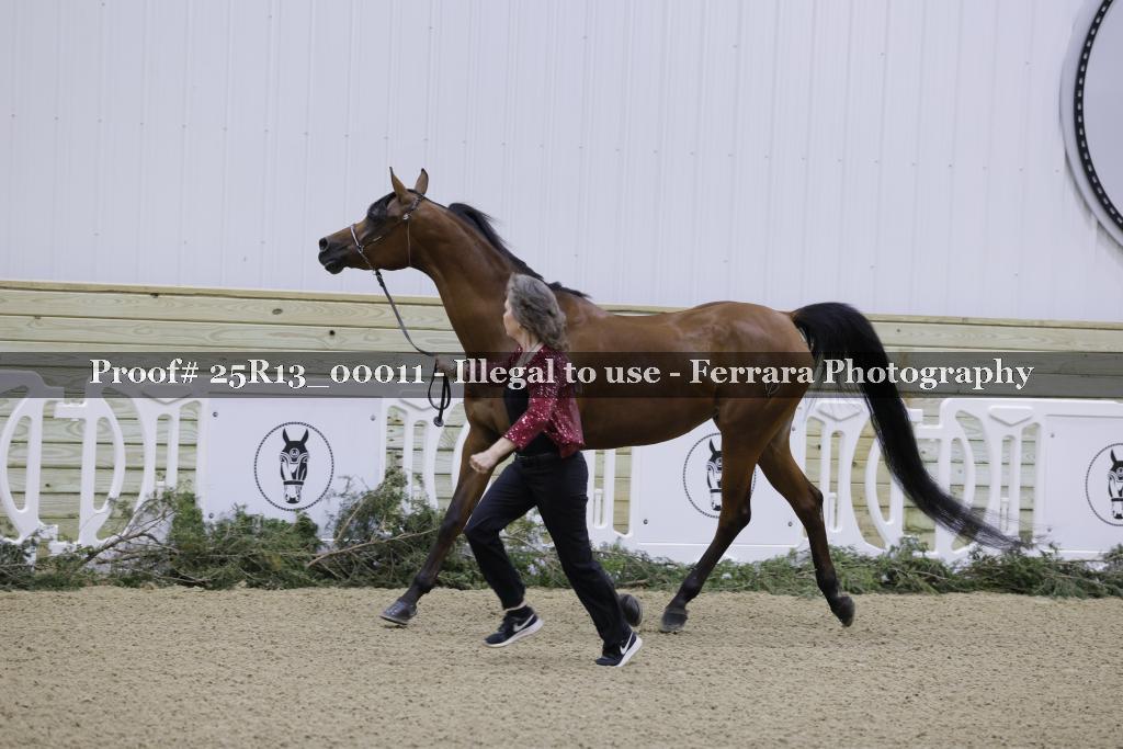 Proof Number 25R13_00011