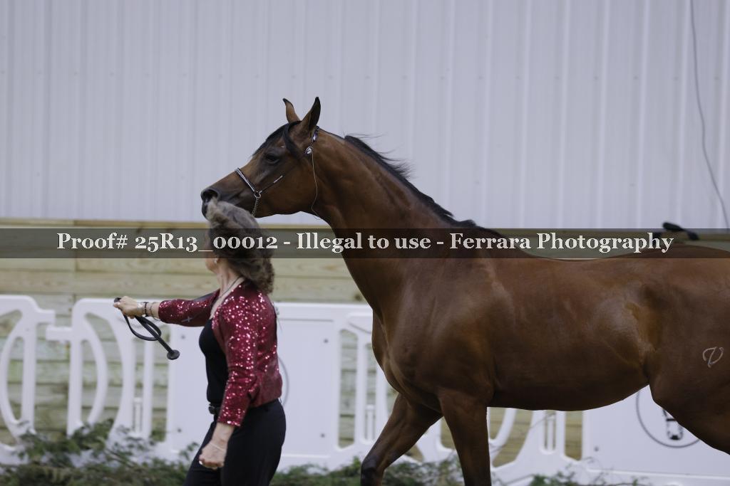 Proof Number 25R13_00012