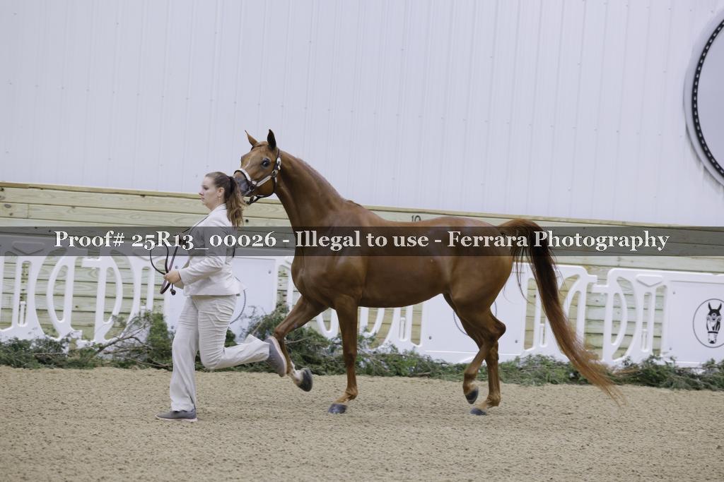 Proof Number 25R13_00026