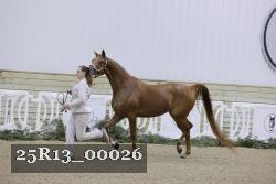 25R13_00026 thumbnail