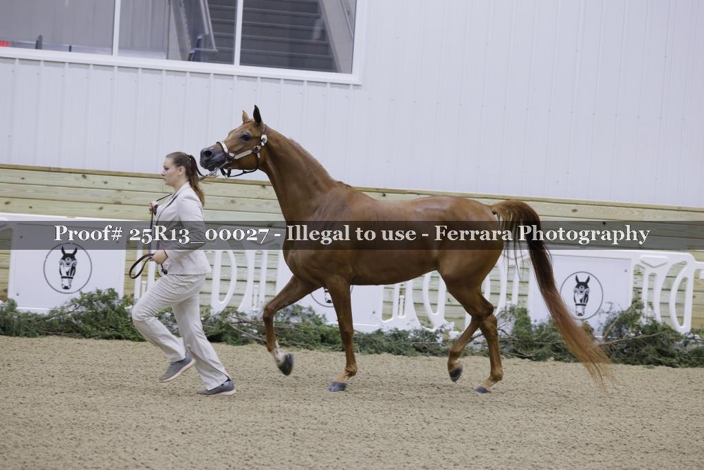 Proof Number 25R13_00027