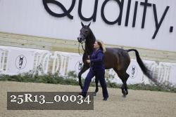 25R13_00034 thumbnail