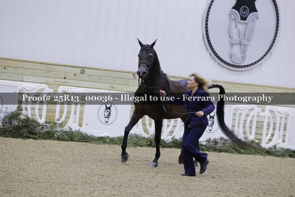Proof Number 25R13_00036