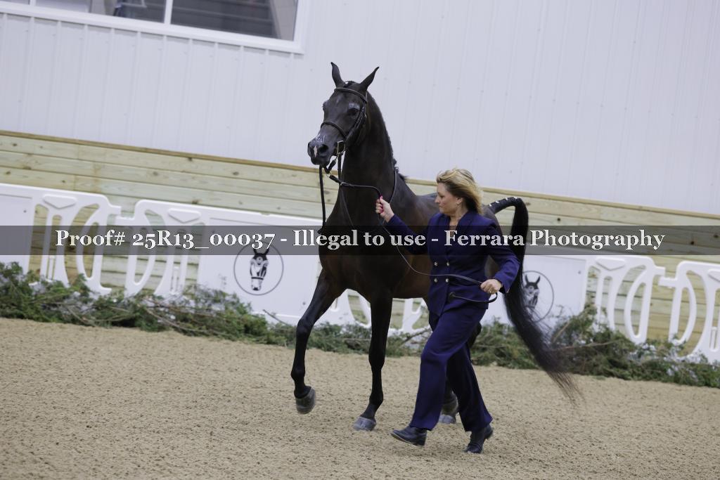 Proof Number 25R13_00037
