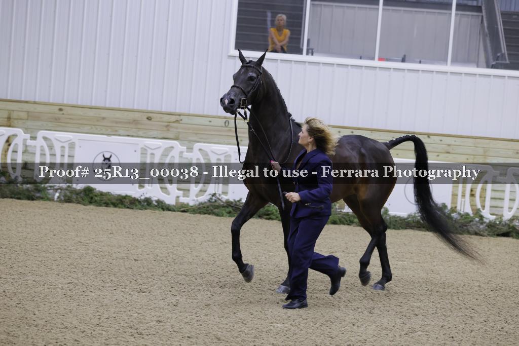 Proof Number 25R13_00038