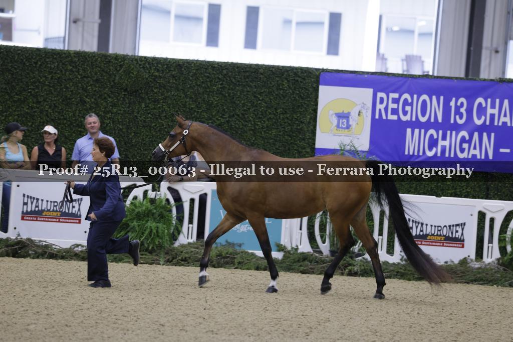 Proof Number 25R13_00063