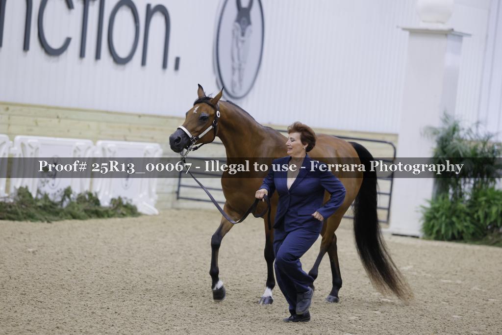 Proof Number 25R13_00067