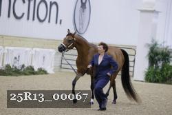 25R13_00067 thumbnail
