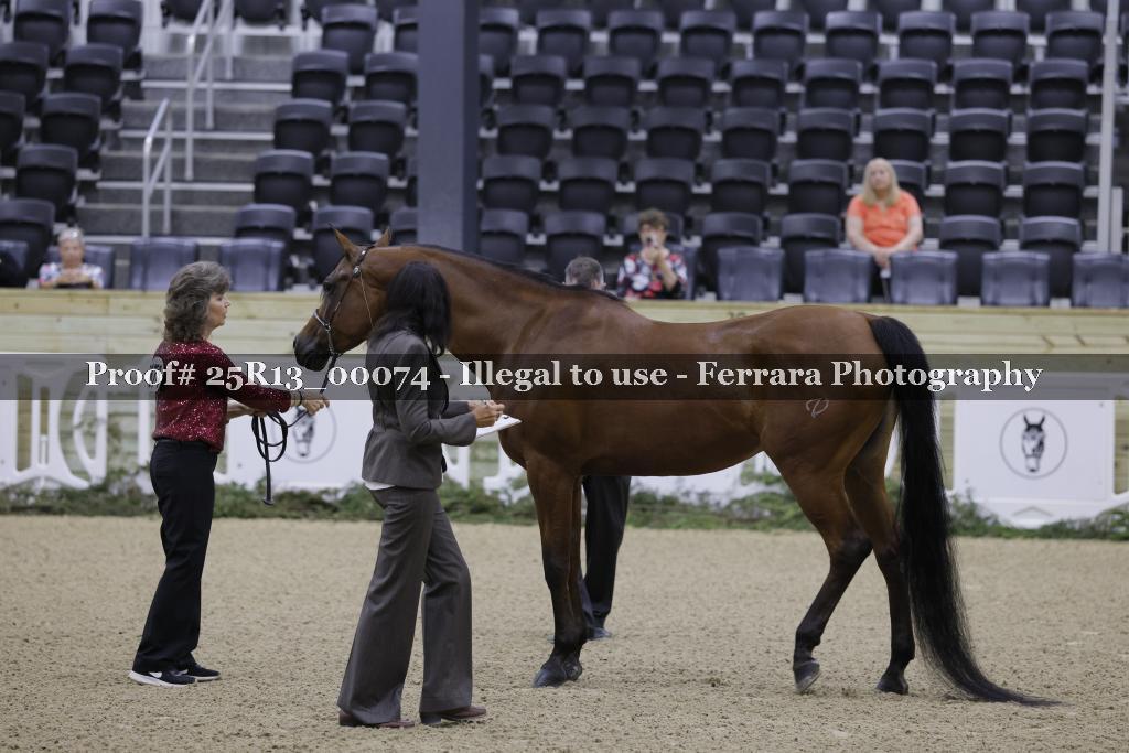 Proof Number 25R13_00074