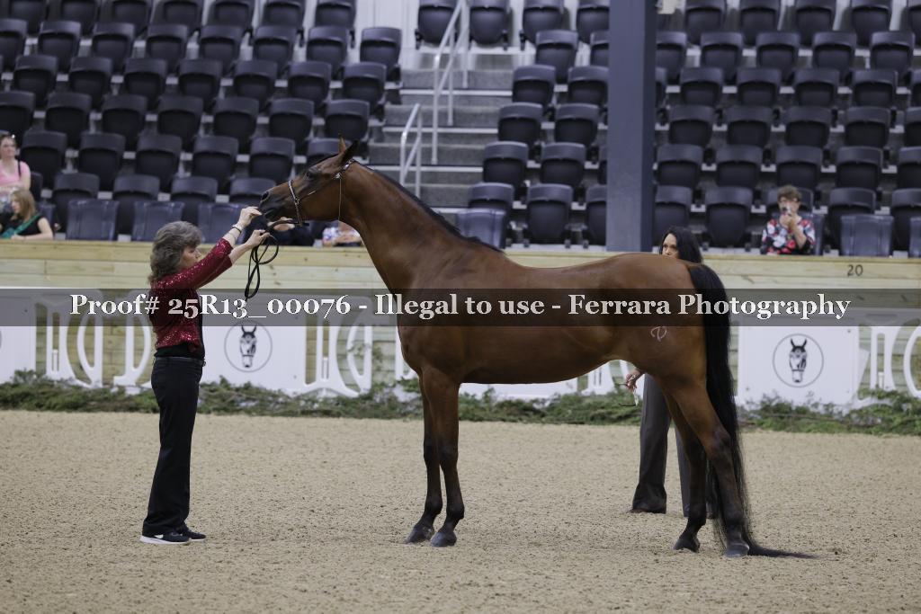 Proof Number 25R13_00076