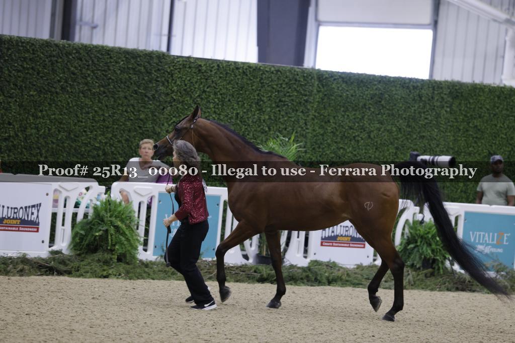 Proof Number 25R13_00080