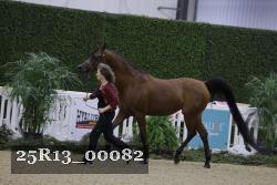 25R13_00082 thumbnail